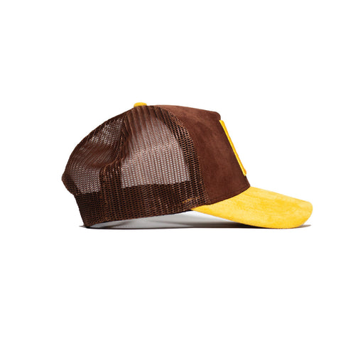 Chocolate Varsity P Trucker Snapback